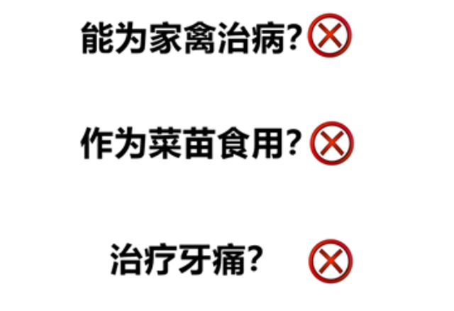 毒偏方，泸州两女子深山种罂粟2000余株(图2)