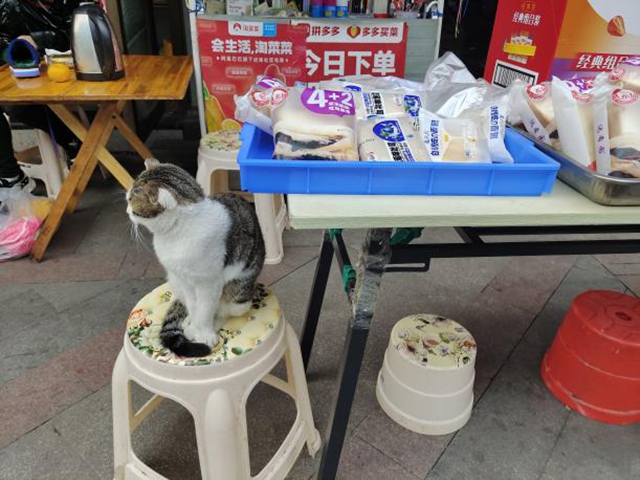 泸州市食品安全“红黑榜”（第二十三期）