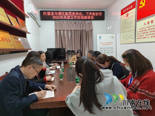 龙马潭区小市街道下大街社区：共建共享谋发展，凝心聚力做贡献