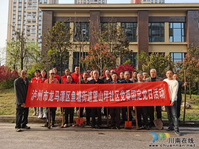 鱼塘街道望山坪社区：公益植树添新绿 党建引领增光彩