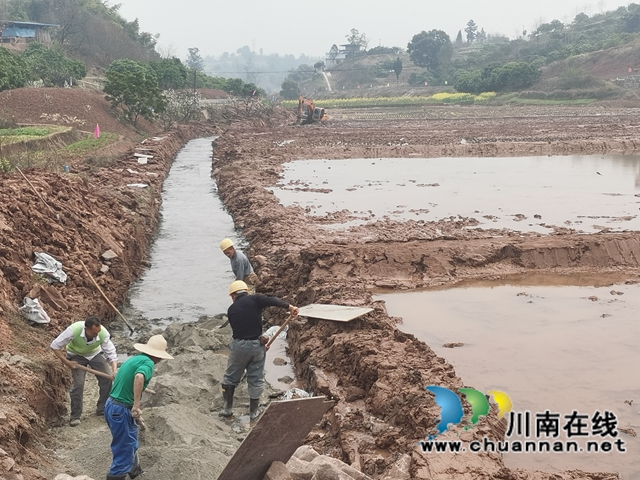 藏粮于地，藏粮于技！泸县牛滩镇建设高标准农田8400亩(图2)