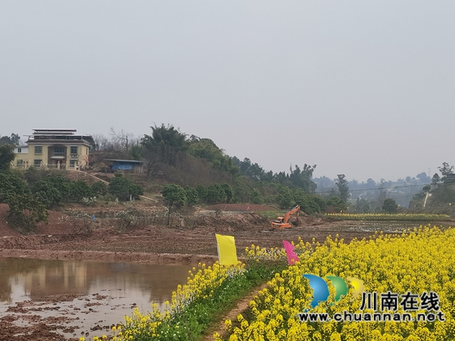 藏粮于地，藏粮于技！泸县牛滩镇建设高标准农田8400亩(图3)