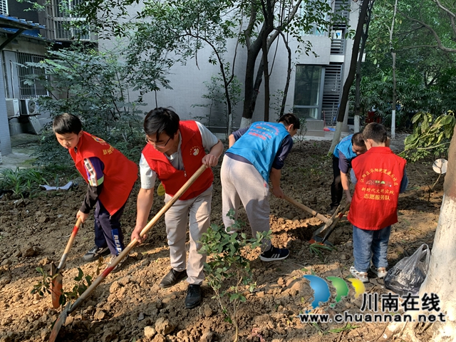 江阳区华阳街道:为小区添一抹绿,守护美好家园(图3) 江阳区华阳街道:为小区添一抹绿,守护美好家园(图3)