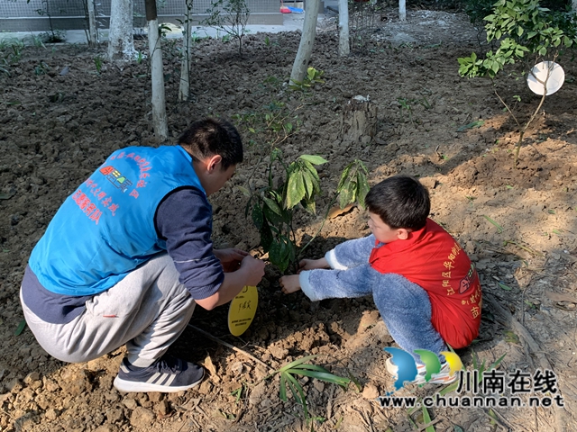 江阳区华阳街道:为小区添一抹绿,守护美好家园(图6) 江阳区华阳街道:为小区添一抹绿,守护美好家园(图6)