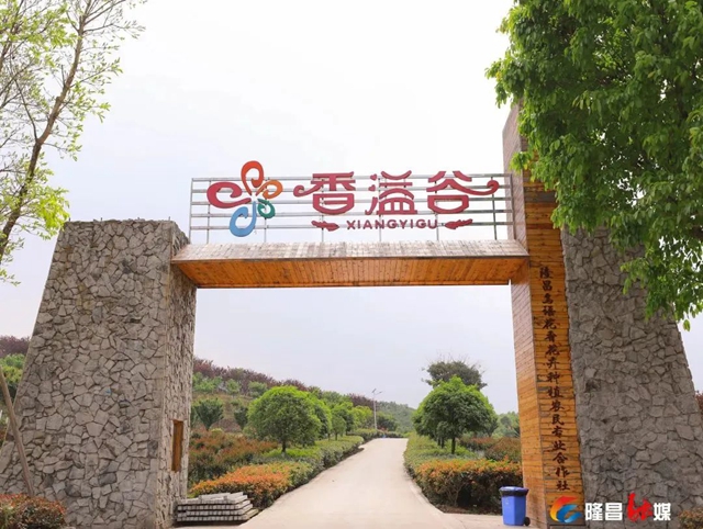 隆昌这些拍照打卡地，秒出大片！(图8)