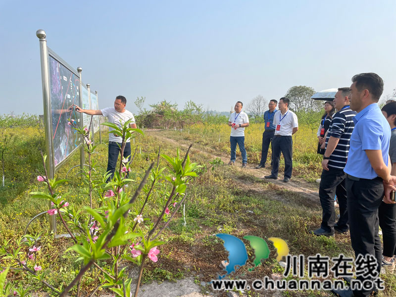 龙马潭区鱼塘街道：人大代表走基层、听民声、话发展