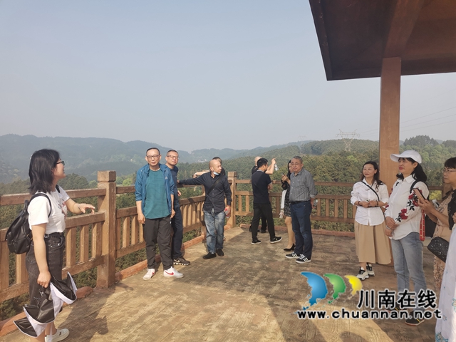 文学助力乡村振兴！泸州诗人泸县道林沟采风活动暨改稿会举行(图4)