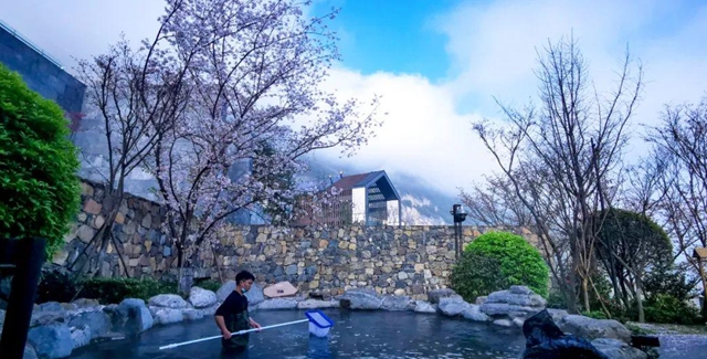 古蔺：庄园三月春意浓，万千美好藏花中(图14)