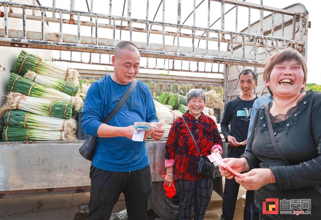 “葱”“葱”“葱”！自贡“新农人”奔向幸福路！(图2)