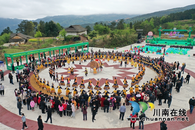 古蔺:一叶飘香四海春,万亩茶山迎客来(图8) 古蔺:一叶飘香四海春,万亩茶山迎客来(图8)