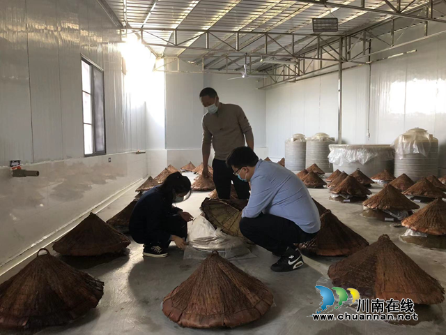 江阳区市场监管局开展酱腌菜食品生产企业开展专项检查