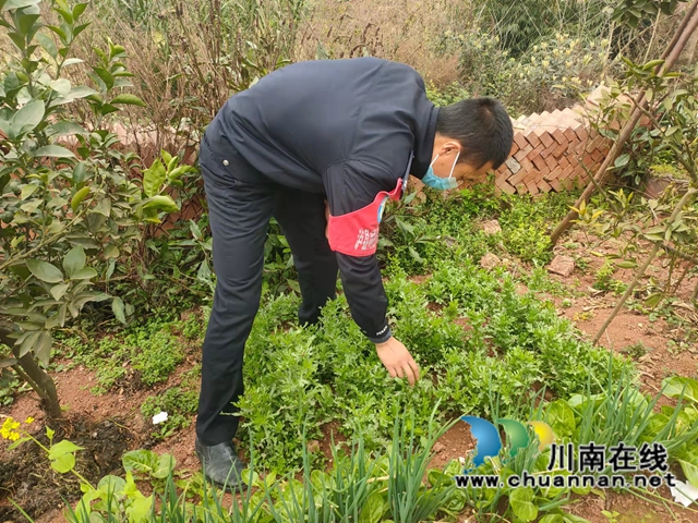 泸县百和镇持续开展禁种铲毒踏查活动