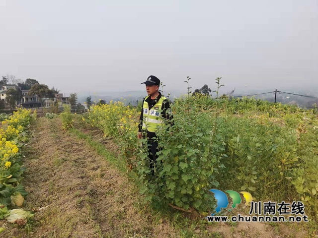泸县百和镇持续开展禁种铲毒踏查活动(图3)