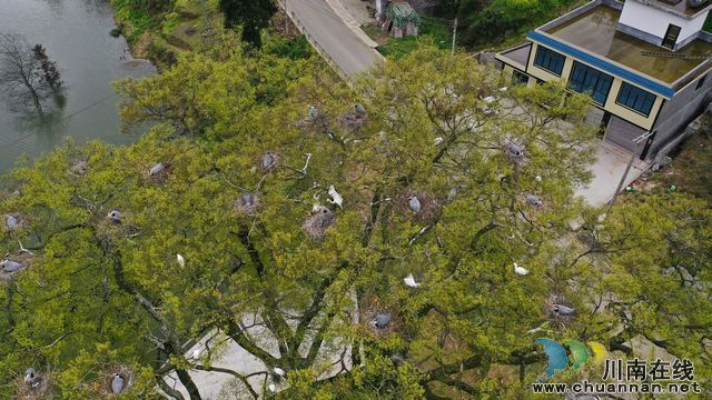 nEO_IMG_DJI_0886.jpg