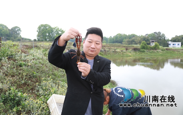 合江县白米镇：凝聚乡贤力量，探索致富之路