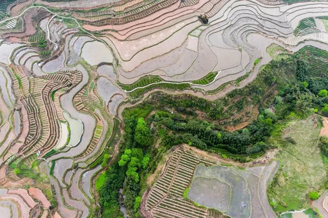 叙永丹山:万亩梯田美如画(图2) 叙永丹山:万亩梯田美如画(图2)