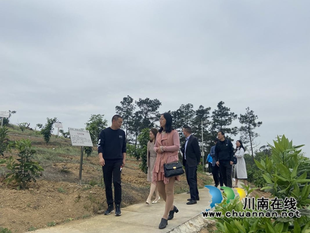 泸县百和镇召开农文旅项目招商引资座谈会
