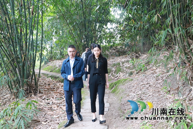 甘露到泸县云龙镇督导森林防灭火工作(图2)