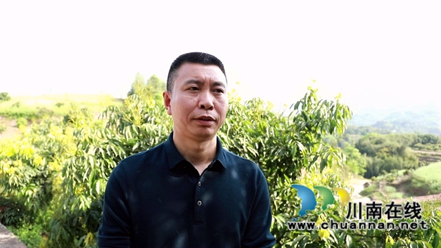 合江：油茶地里种大豆，春耕套种促增收(图5)