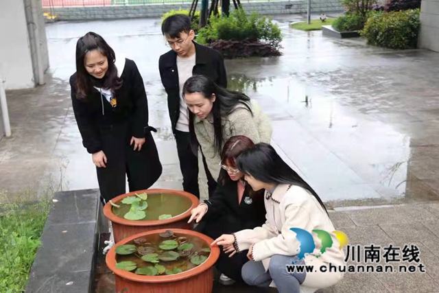 泸县“国培计划”：新教师跟岗培训有“芹”怀
