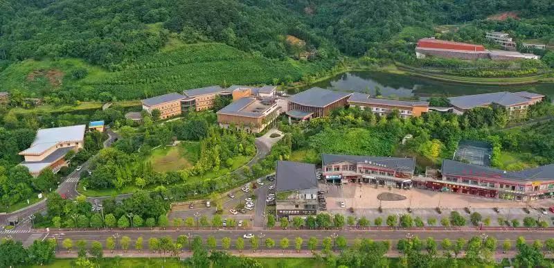 创建天府旅游名县丨最美四月，期待与你在泸县相遇！(图6)