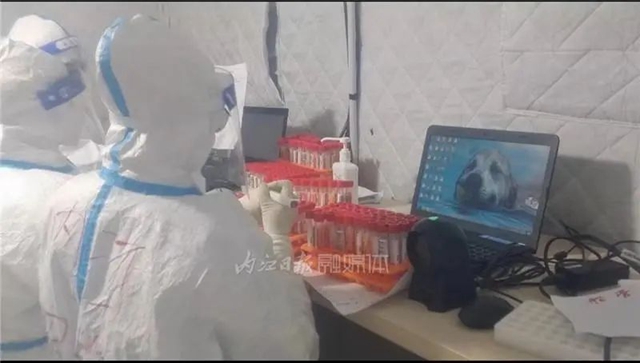 心疼！20名内江儿女援吉抗疫，纷飞大雪中：想吃家乡的牛肉面(图3)