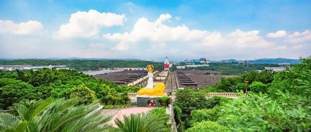 营收突破1600亿！宜宾对外发布2021年度白酒产业年鉴(图4)