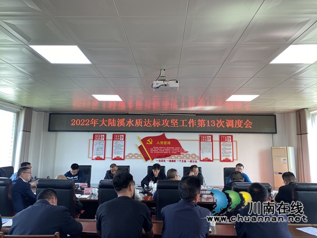 泸县县委常委朱大清到百和镇督导大陆溪水质达标工作