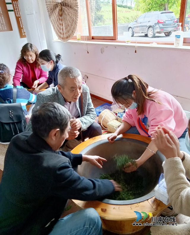 民建江阳区基层委员会：调研农旅融合，助力乡村振兴(图2)