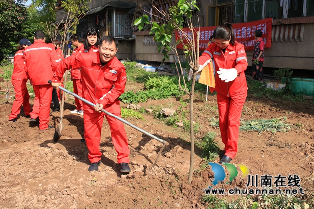 龙马潭区红星街道玉带桥社区：企地共建、美化家园