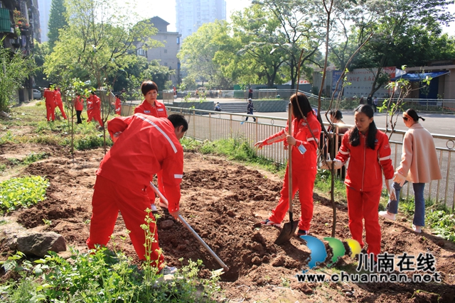 龙马潭区红星街道玉带桥社区：企地共建、美化家园(图2)