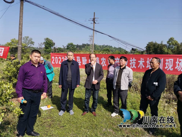 泸县毗卢镇：专家上门服务，助力乡贤发展