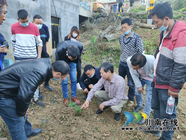古蔺县石宝镇：“三尺讲台”进田间，乡贤授业笑开颜