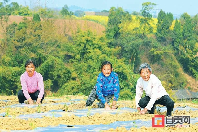 你看！好美的自贡春耕图(图7)