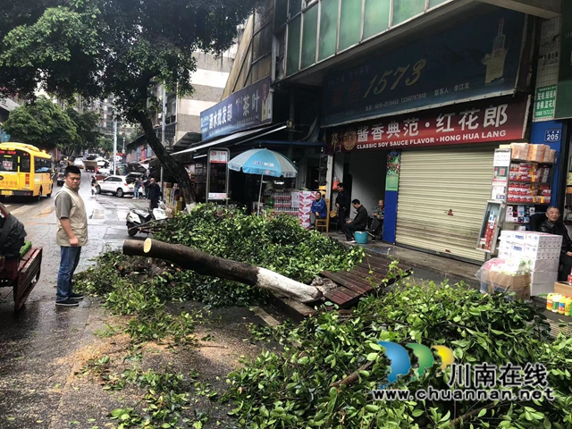 龙马潭区红星街道金井湾社区：风雨过后绘彩虹！