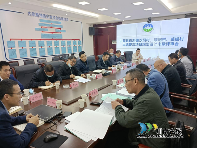 泸州市自然资源和规划局组织评审茅溪镇、白泥镇土地整治项目(图2)