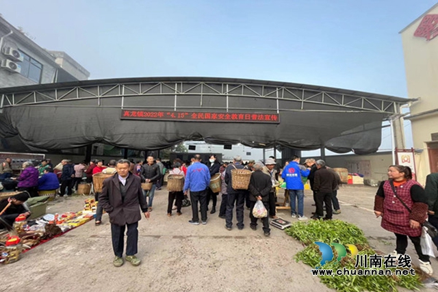 合江县真龙镇开展普法宣传活动