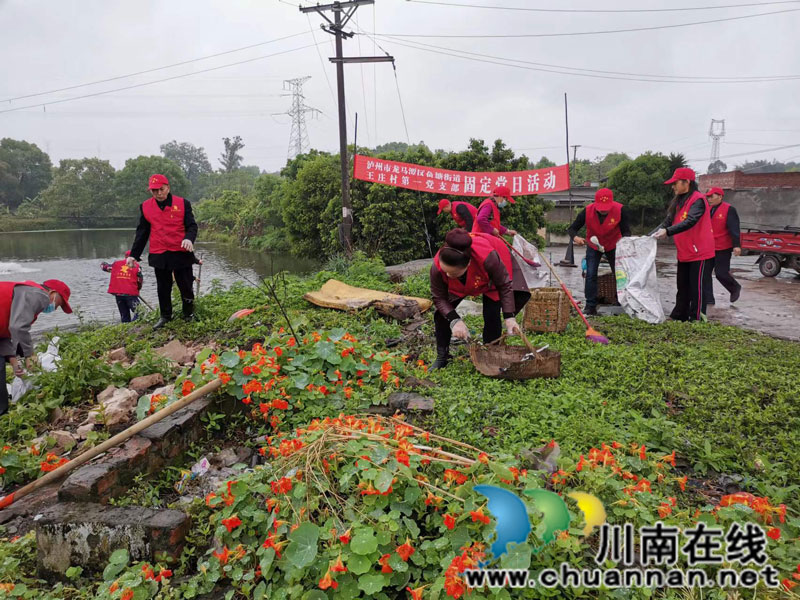 龙马潭区鱼塘街道王庄村：美化家园  我们在行动