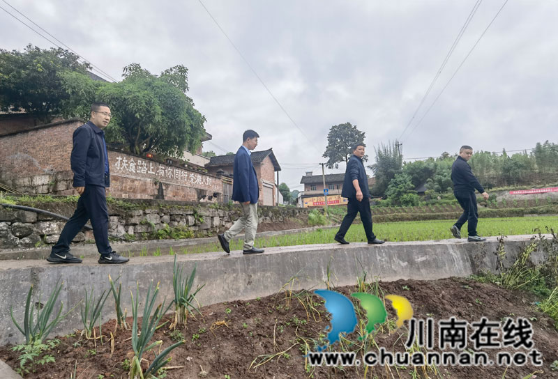 致公党泸州市委：找好发展“着力点” 下好振兴“先手棋”