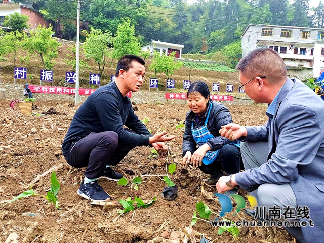 叙永观兴镇：真帮实扶，脱贫村走上循环种养奔康路(图3)