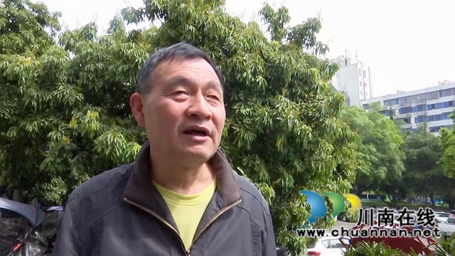 合江：荔枝花开兆丰收，后期管护是关键(图4)