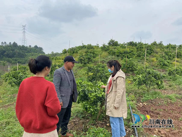 泸县云龙镇扎实开展公益性岗位督查检查工作