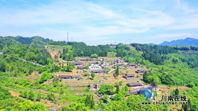 为乡村铸魂，为振兴助力，古蔺非遗传承人杨安平的“至简”人生(图4)