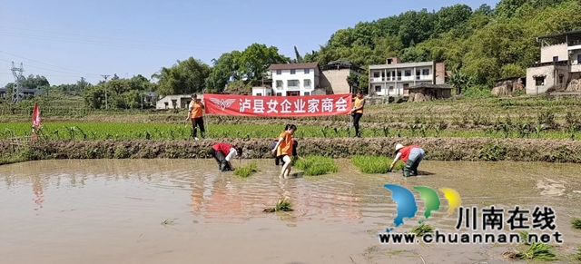 泸县女企业家商会帮扶特困群众春耕