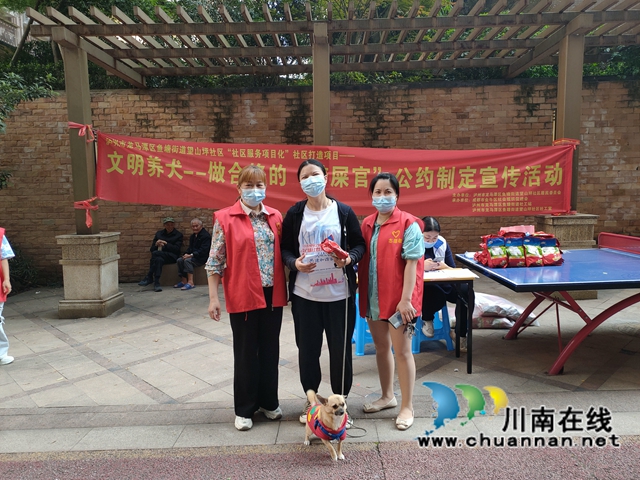 龙马潭区鱼塘街道望山坪社区：文明养犬，争做合格“铲屎官”
