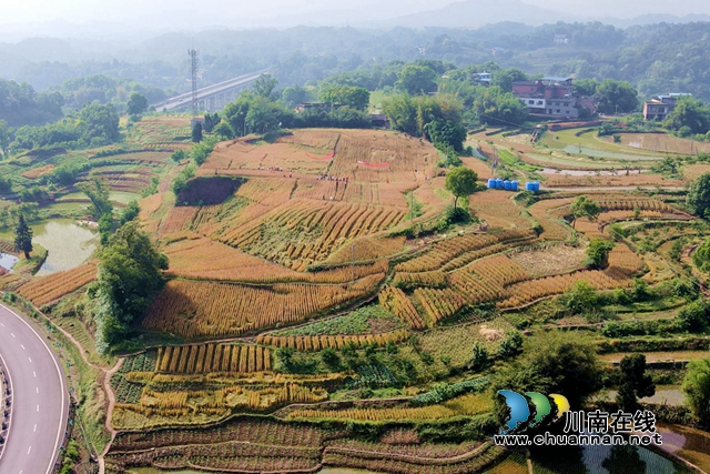 DJI_0442.JPG