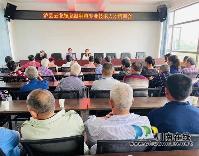 泸县云龙镇：“土专家”“田秀才” 助力种植提质增效