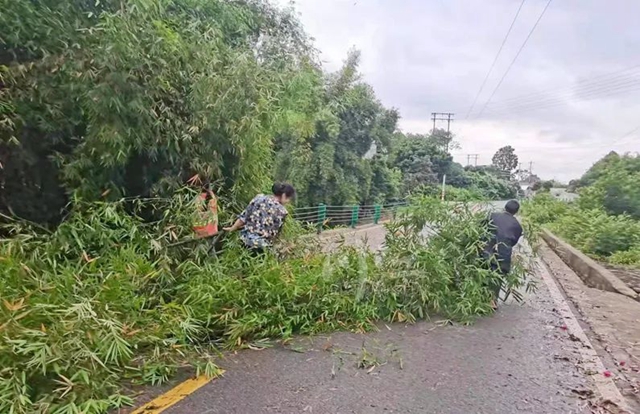 狂风暴雨!树倒竹断!泸州交通火速抢险保畅通(图3) 路3.jpg