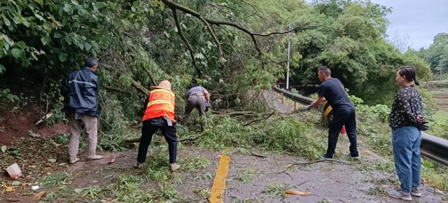 狂风暴雨!树倒竹断!泸州交通火速抢险保畅通(图4) 路4.jpg