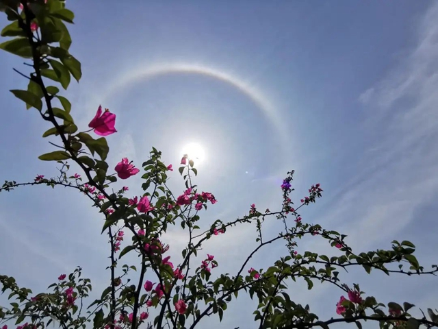 太阳戴上了“美瞳”,泸州上空现绝美日晕(图2) 2.jpg